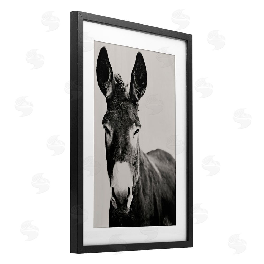 Amy Carroll Franz the Donkey Portrait Black Framed Print Under Glass with Mat Wall Art