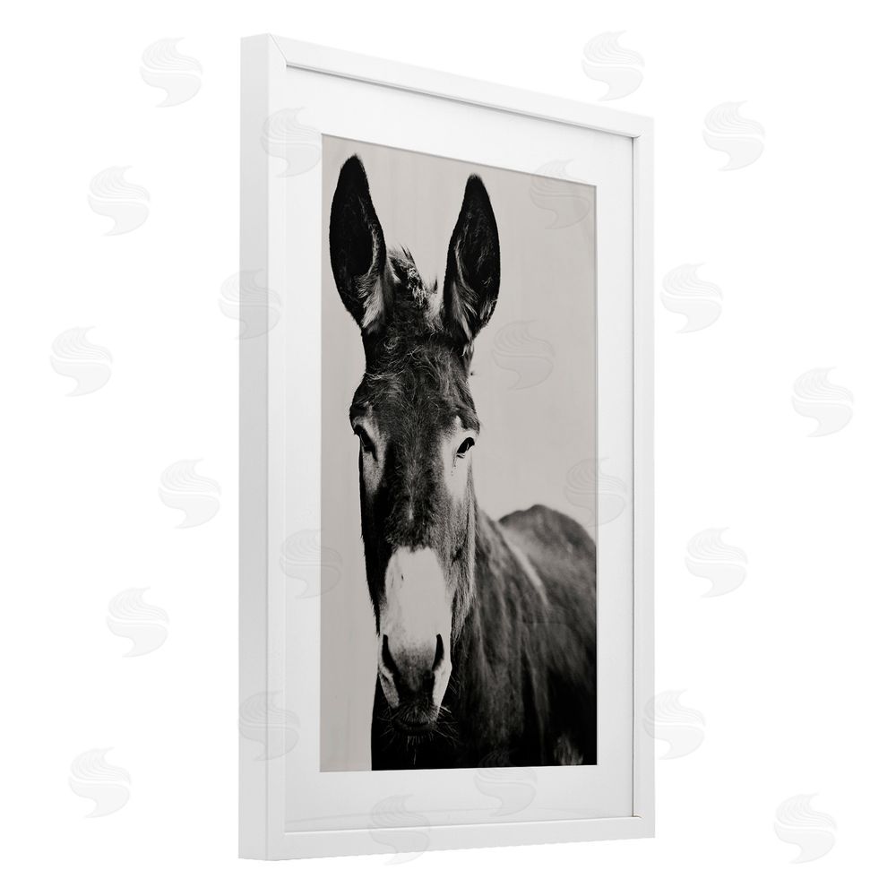 Amy Carroll Franz the Donkey Portrait White Framed Print Under Glass with Mat Wall Art
