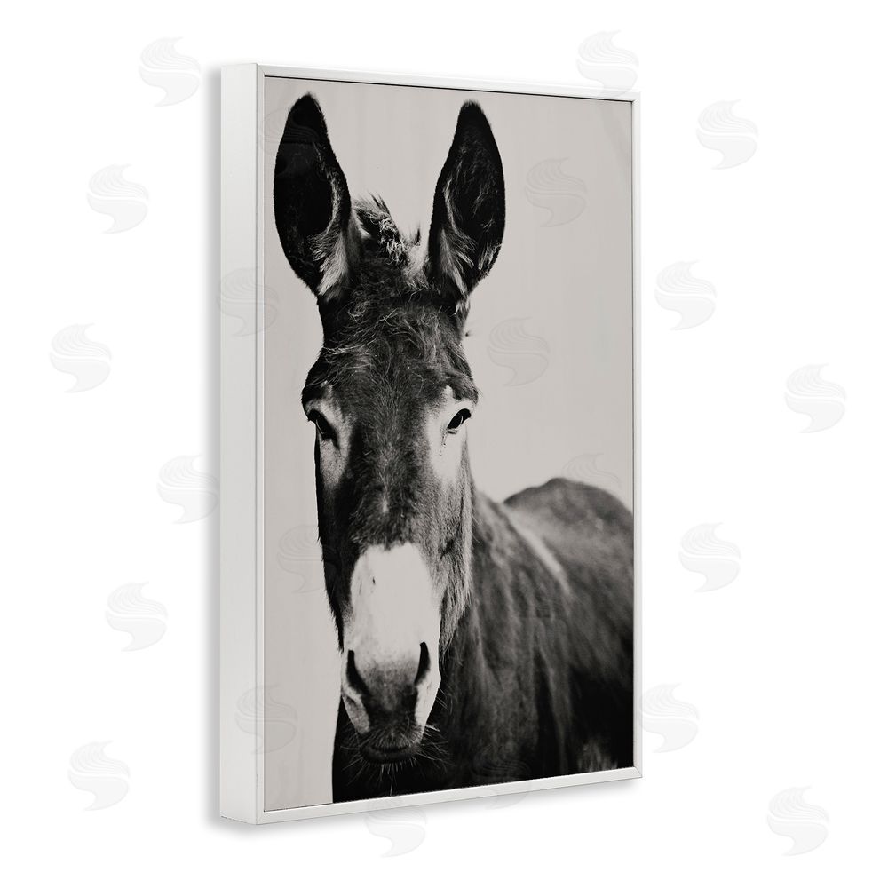 Amy Carroll Franz the Donkey Portrait White Framed Giclee Wall Art Print