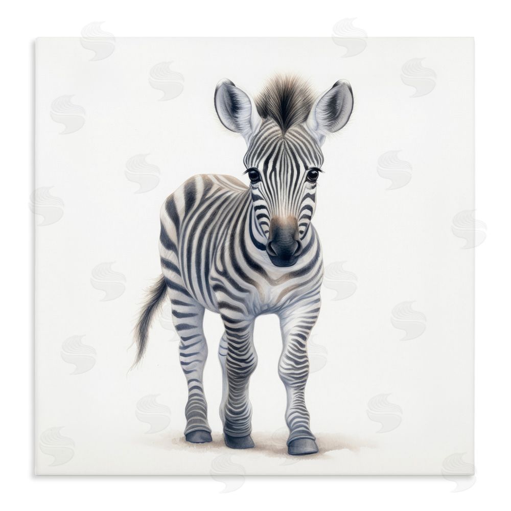 Ray Powers Friendly Zebra Foal Stretched Canvas Wall Art