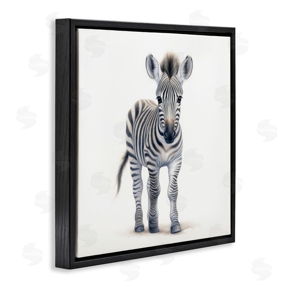 Ray Powers Friendly Zebra Foal Black Floating Frame Canvas Wall Art