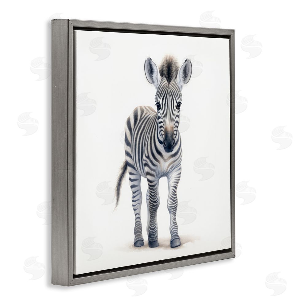 Ray Powers Friendly Zebra Foal Gray Floating Frame Canvas Wall Art