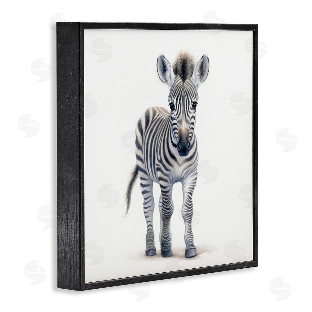 Ray Powers Friendly Zebra Foal Blacked Framed Giclee Wall Art Print