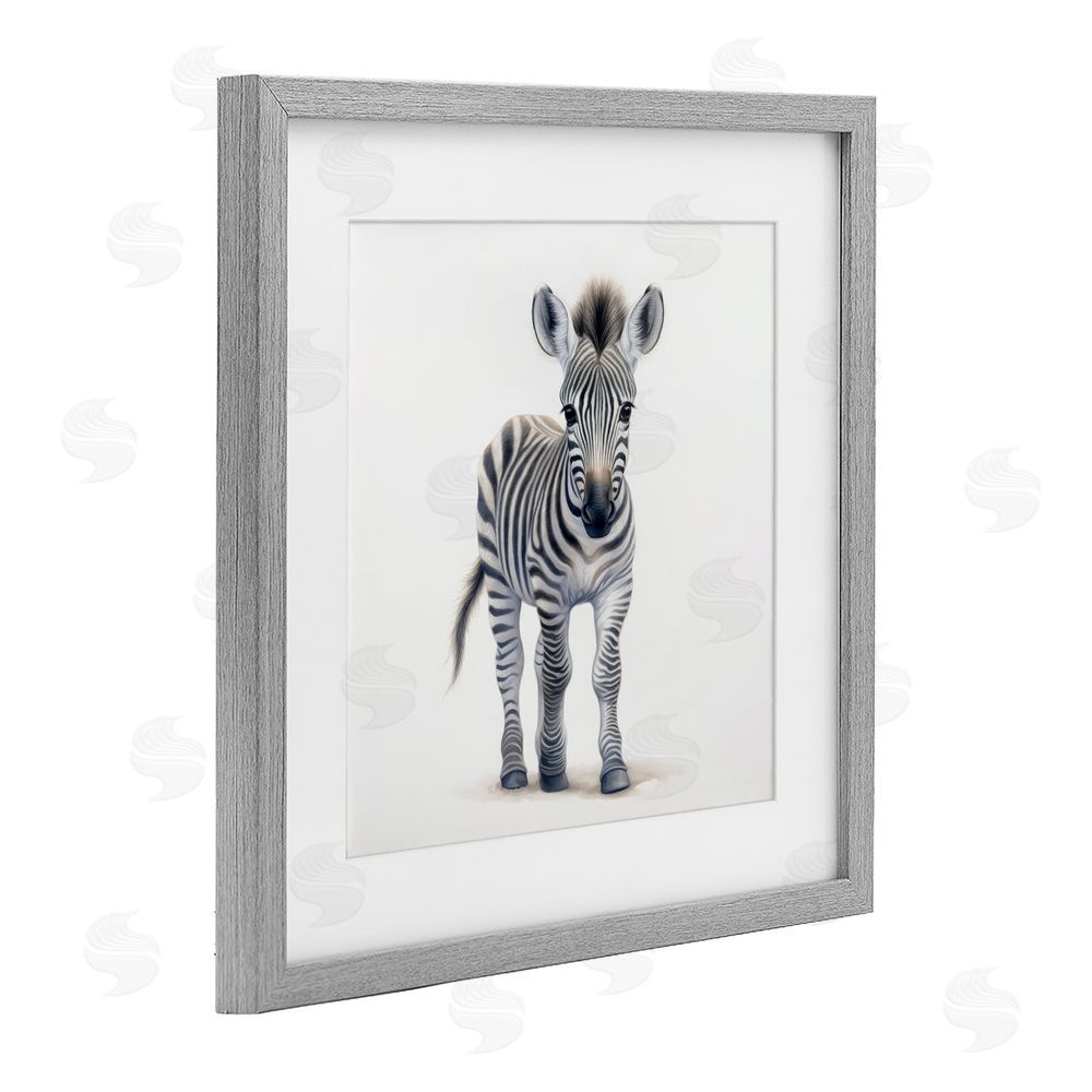 Ray Powers Friendly Zebra Foal Gray Framed Print Under Glass with Mat Wall Art