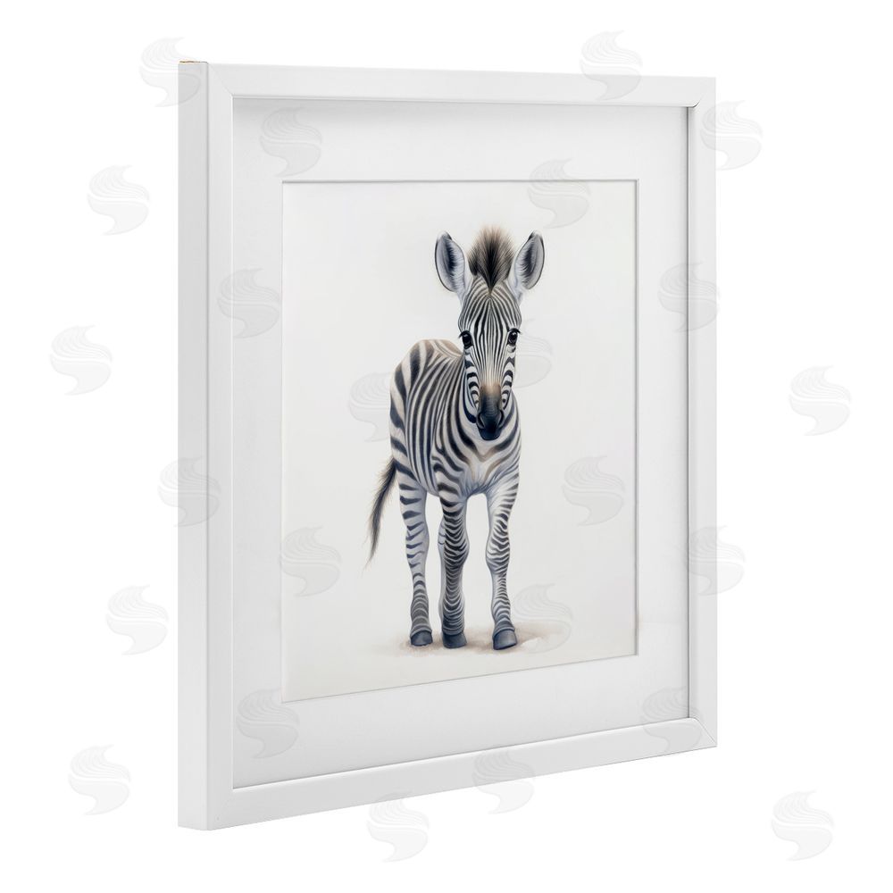Ray Powers Friendly Zebra Foal White Framed Print Under Glass with Mat Wall Art