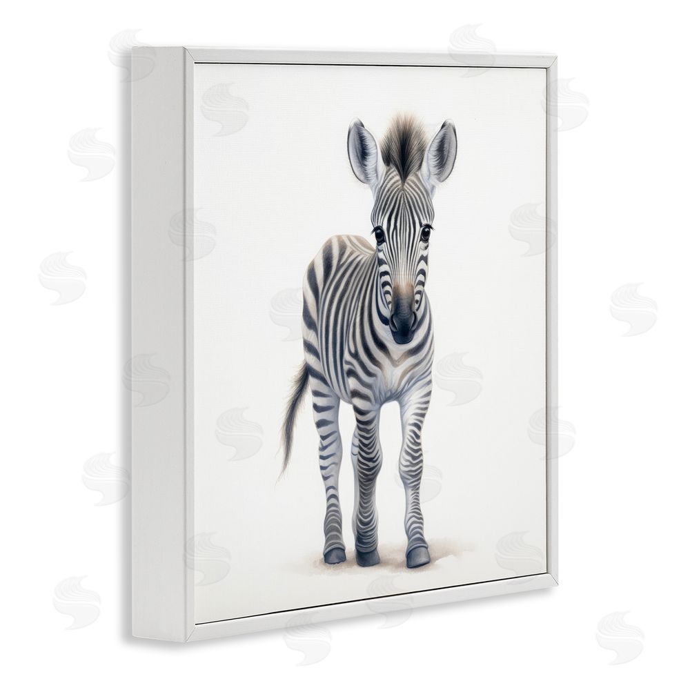 Ray Powers Friendly Zebra Foal White Framed Giclee Wall Art Print