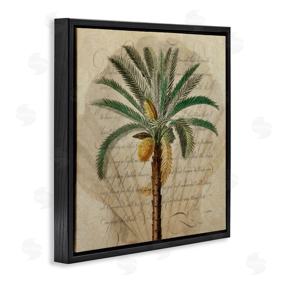 Steve Hunziker Vintage Subdued Palm Black Floating Frame Canvas Wall Art Print