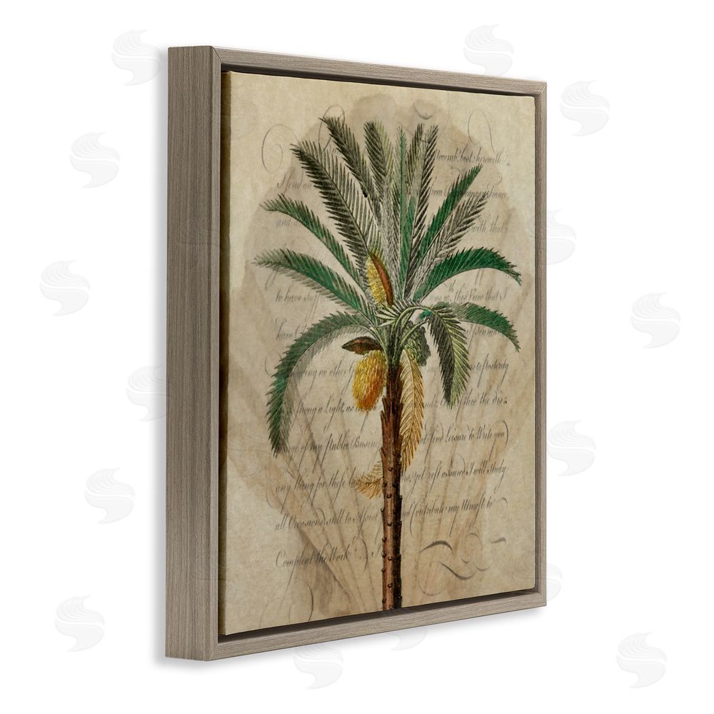 Steve Hunziker Vintage Subdued Palm Brown Floating Frame Canvas Wall Art Print