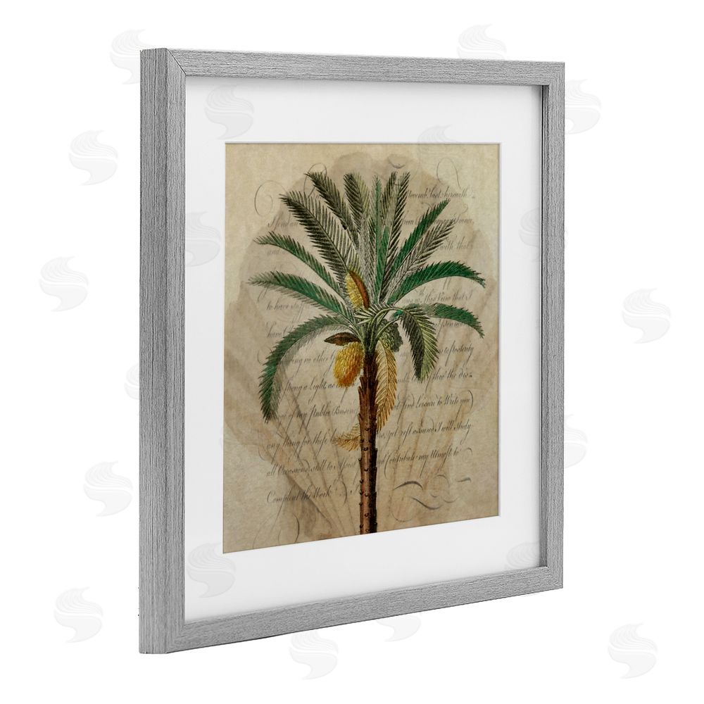Steve Hunziker Vintage Subdued Palm Gray Framed Print Under Glass Wall Art