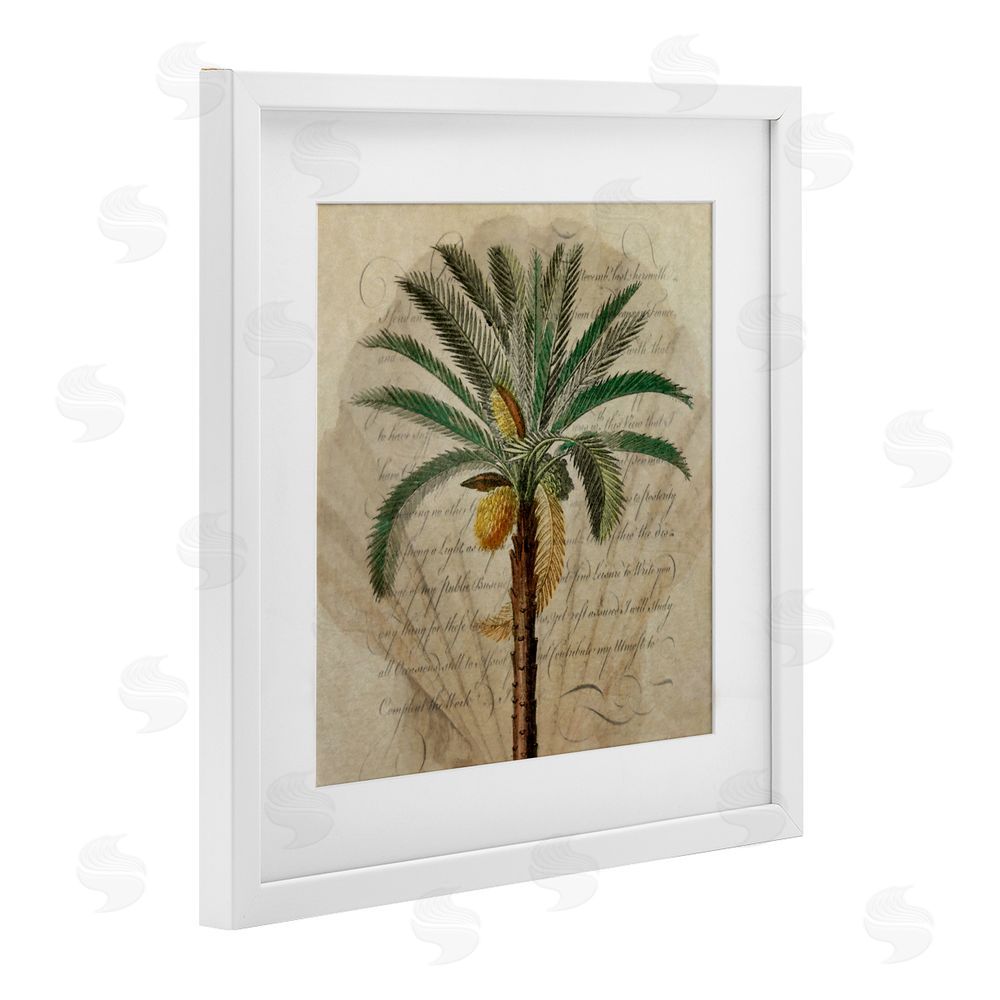 Steve Hunziker Vintage Subdued Palm White Framed Print Under Glass Wall Art