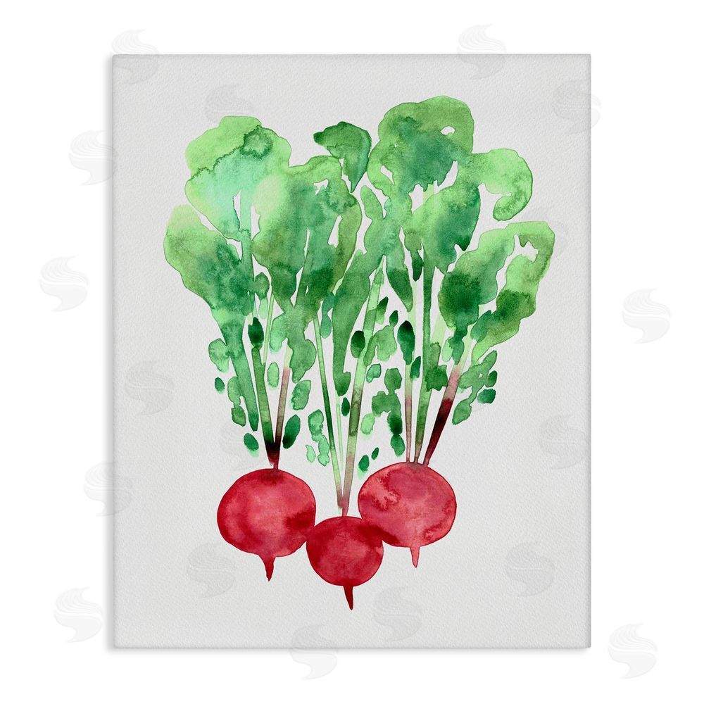 Camila Juncos Watercolor Garden Radishes Canvas Wall Art Print