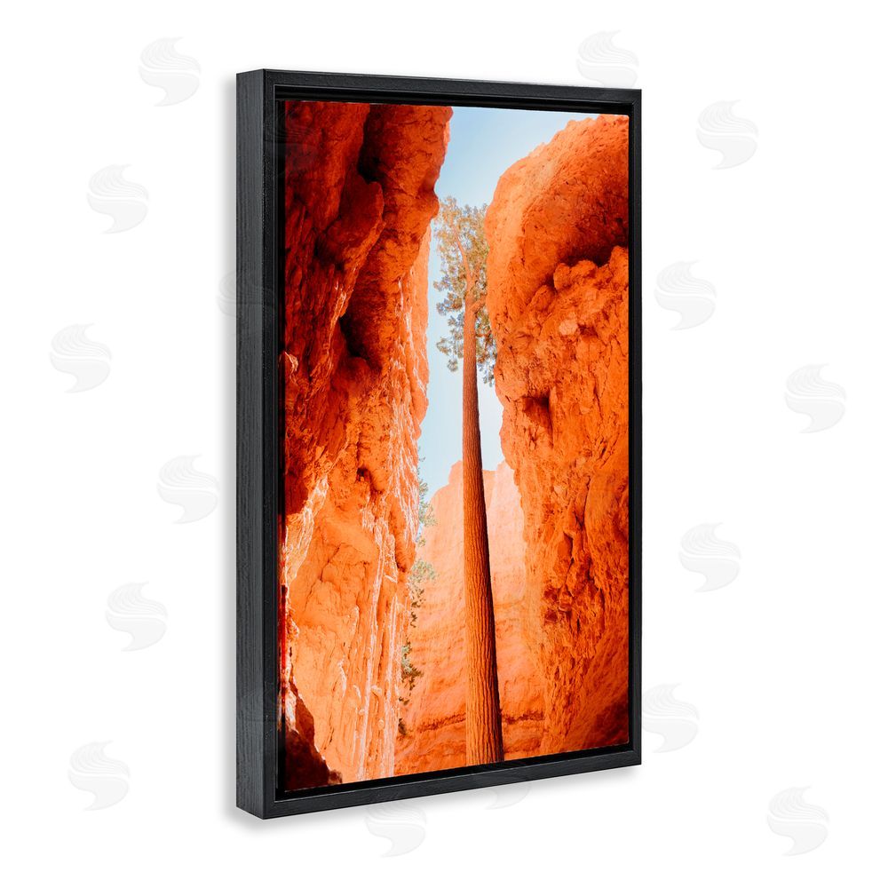 Jade Sharp Photo Bryce Canyon Looming Cliffs Black Floating Frame Canvas Wall Art Print