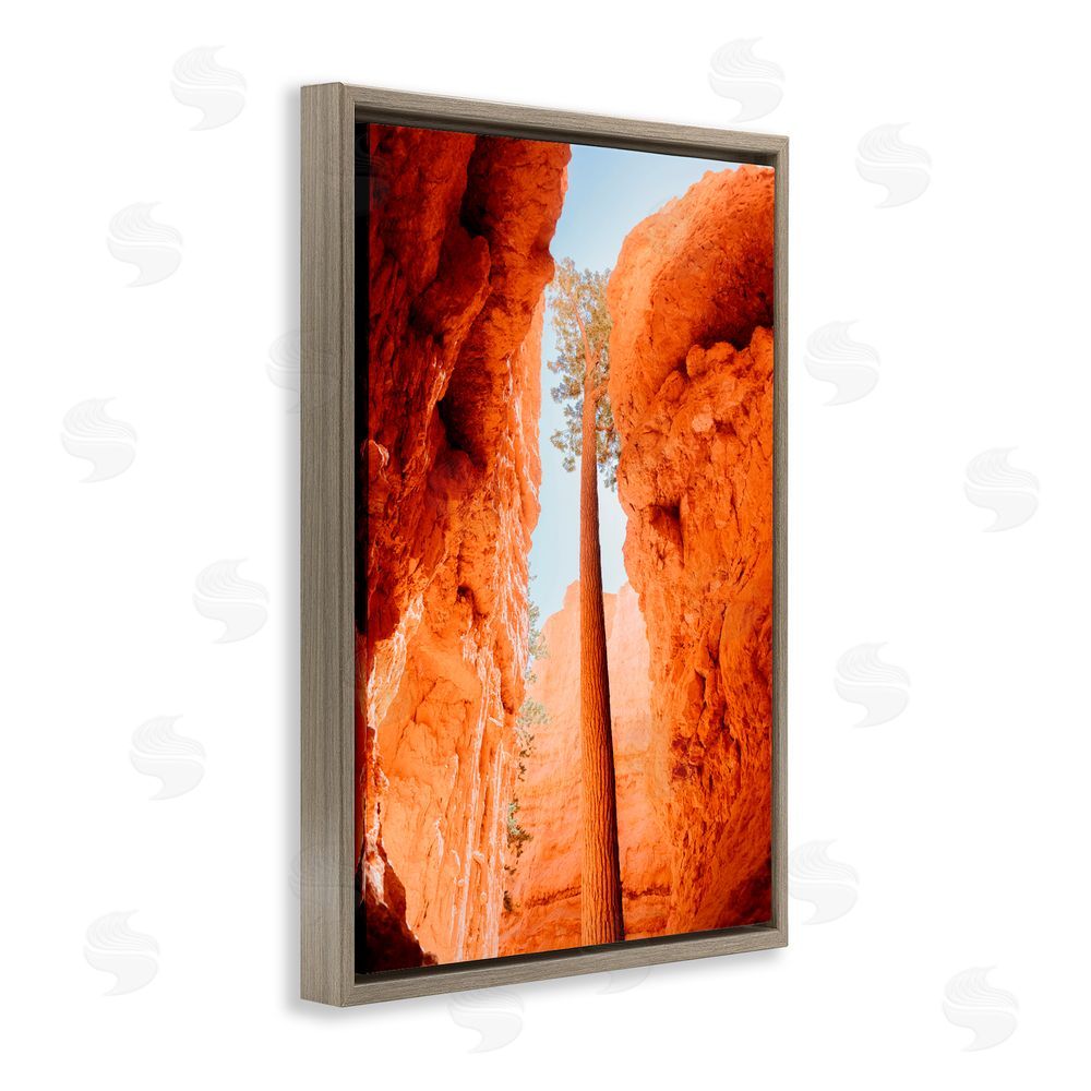Jade Sharp Photo Bryce Canyon Looming Cliffs Brown Floating Frame Canvas Art Print