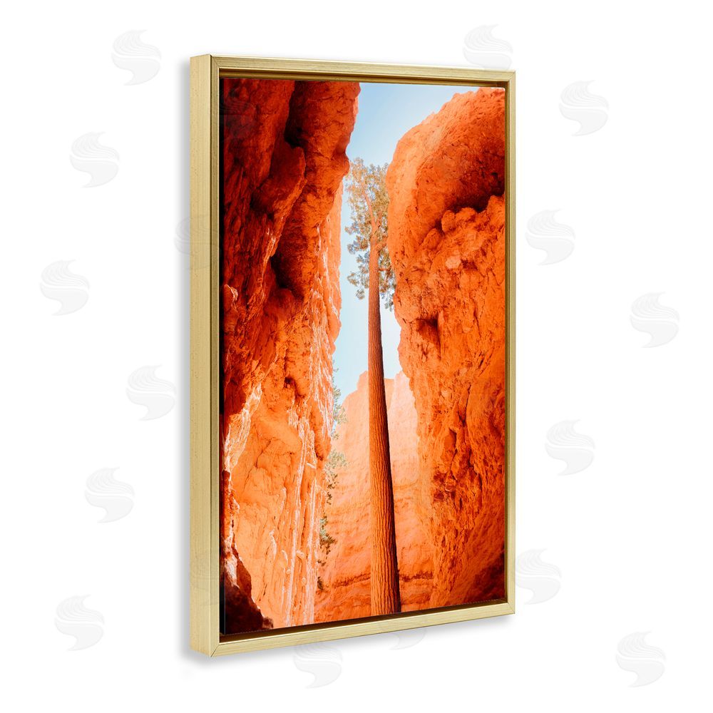 Jade Sharp Photo Bryce Canyon Looming Cliffs Gold Floating Frame Canvas Art Print