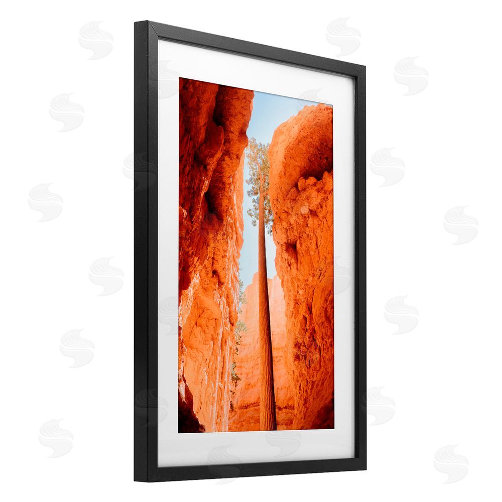 Jade Sharp Photo Bryce Canyon Looming Cliffs Black Framed Print Under Glass Art