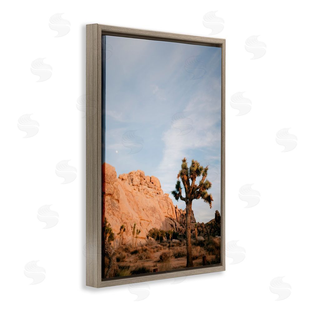 Jade Sharp Photo Joshua Tree & Canyon Brown Floating Frame Canvas Art Print