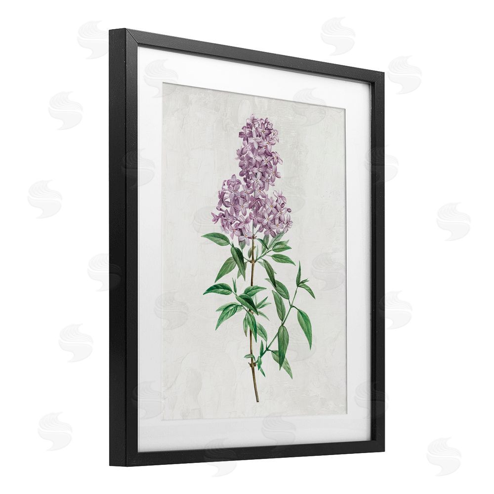 Kim Allen Lilac Blossoms Blooms Black Framed Print Under Glass with Mat Wall Art