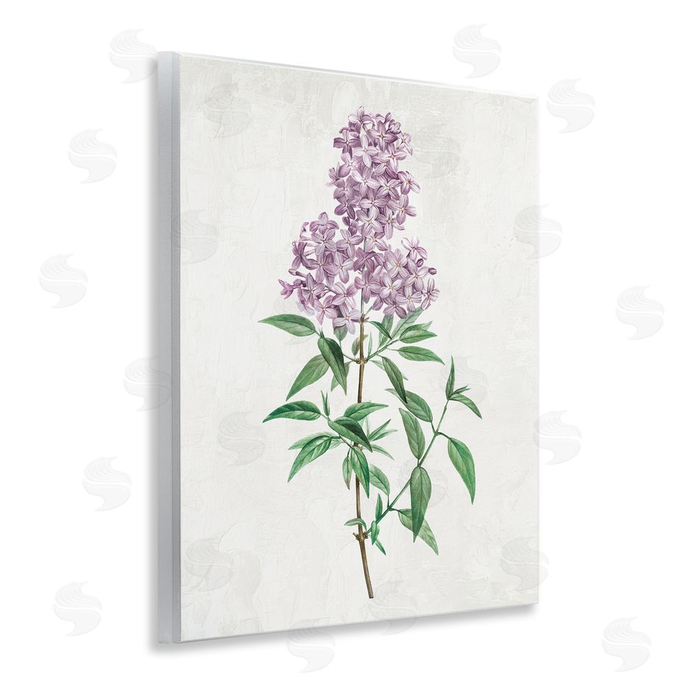 Kim Allen Lilac Blossoms Blooms Wooden Wall Plaque Art Print