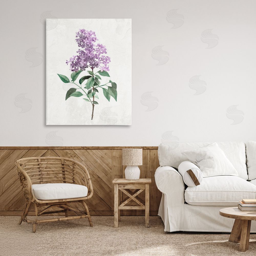 Kim Allen Lilac Herb Blossoms Stretched Canvas Wall Art in Room