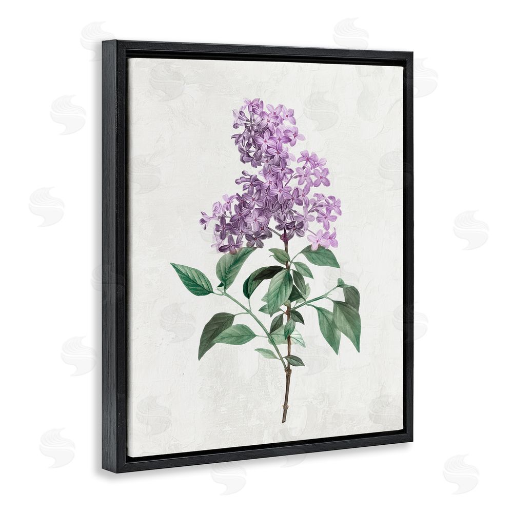 Kim Allen Lilac Herb Blossoms Black Floating Frame Canvas Wall Art