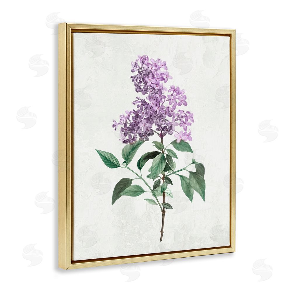 Kim Allen Lilac Herb Blossoms Gold Floating Frame Canvas Wall Art