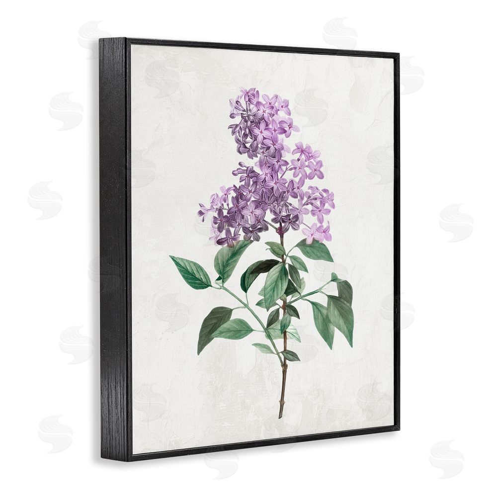 Kim Allen Lilac Herb Blossoms Blacked Framed Giclee Wall Art Print