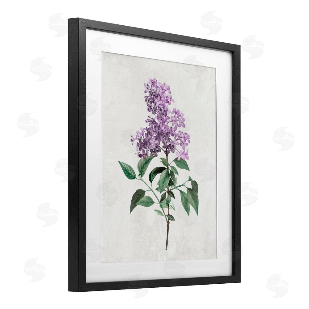 Kim Allen Lilac Herb Blossoms Black Framed Print Under Glass with Mat Wall Art