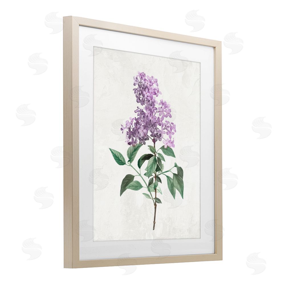 Kim Allen Lilac Herb Blossoms Brown Framed Print Under Glass with Mat Wall Art
