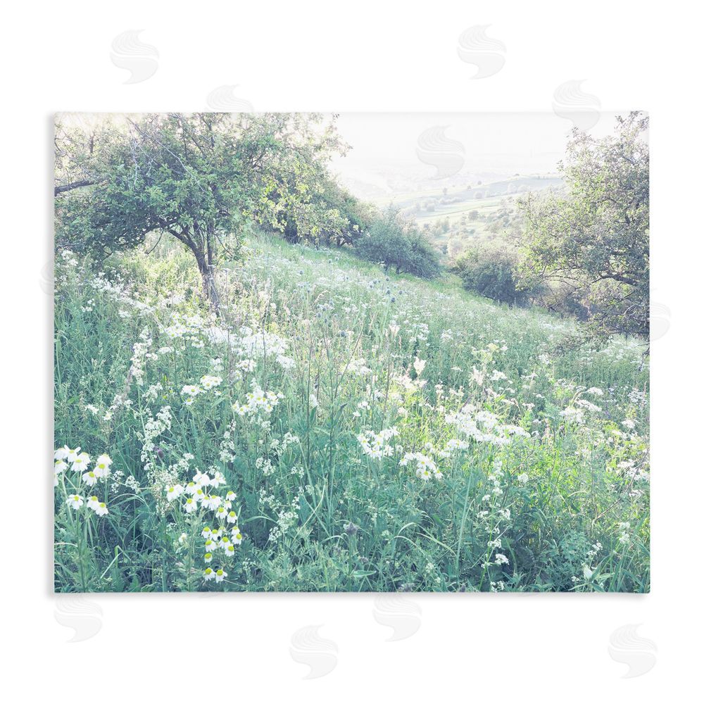 Leah Straatsma Sunny Daisies in Meadow Stretched Canvas Wall Art Print