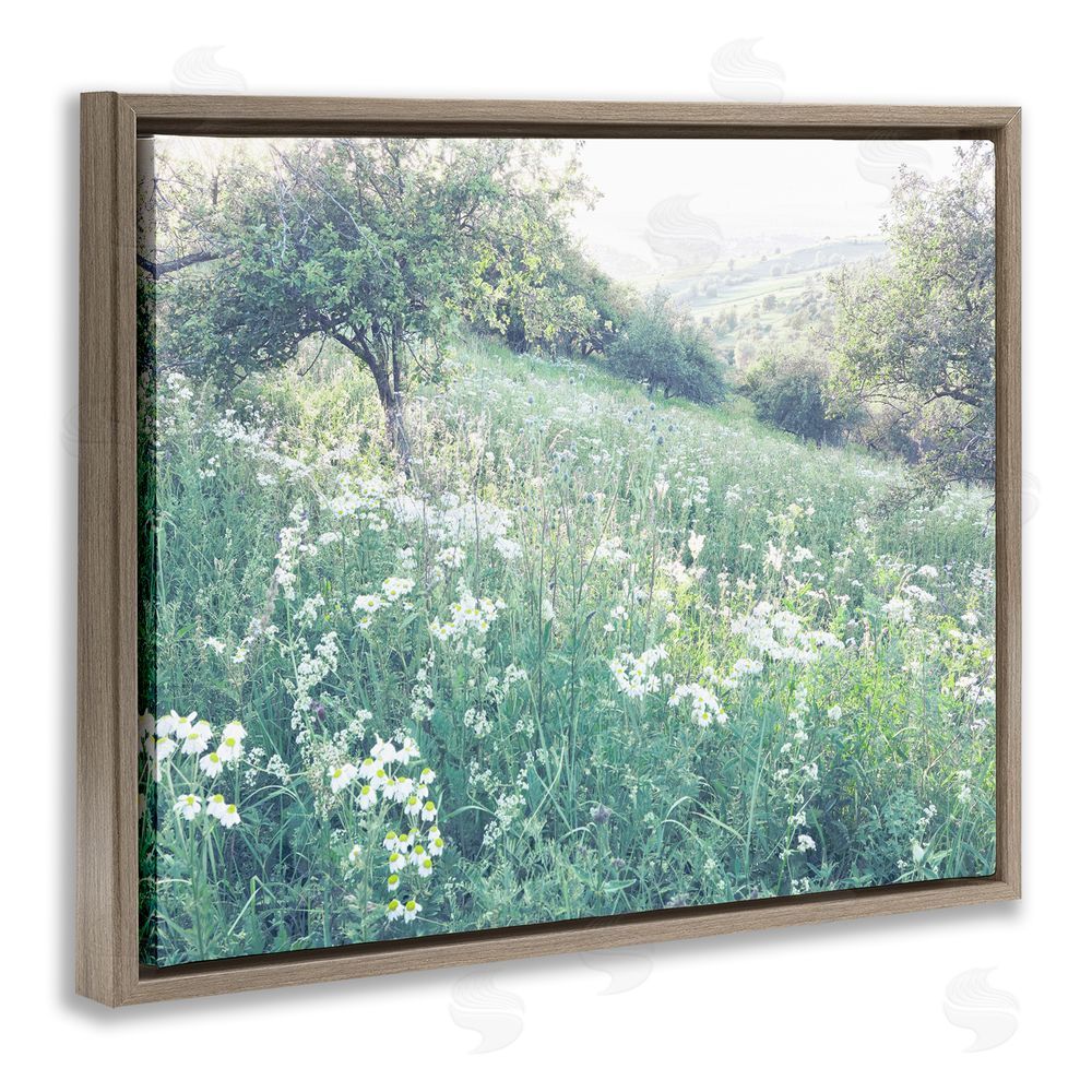 Leah Straatsma Sunny Daisies in Meadow Brown Floating Frame Canvas Wall Art Print