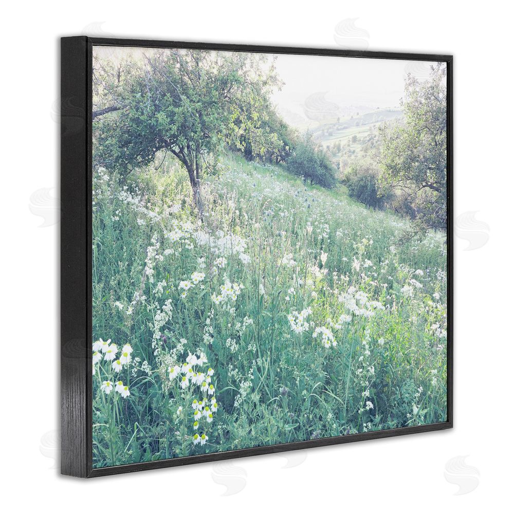 Leah Straatsma Sunny Daisies in Meadow Black Framed Giclee Wall Art Print