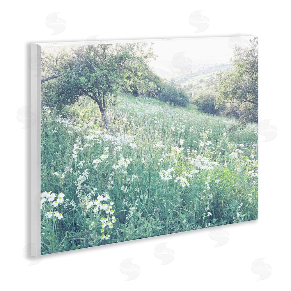 Leah Straatsma Sunny Daisies in Meadow Wall Plaque Art Print