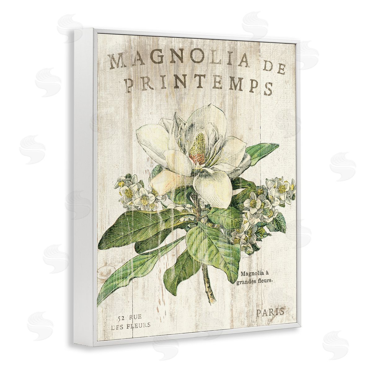 French Magnolias In Spring White Frame Print Wall Art, Home Decor by Sue Schlabach