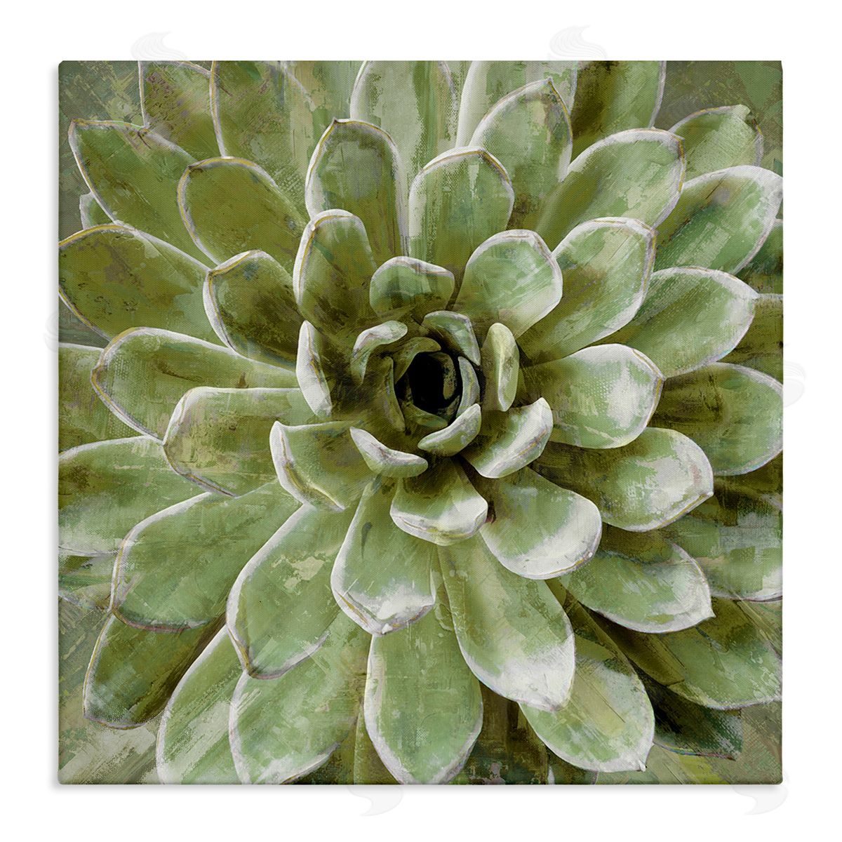 Green Botanical Succulent Bloom Canvas Wall Art, Home Decor by Stupell Studio