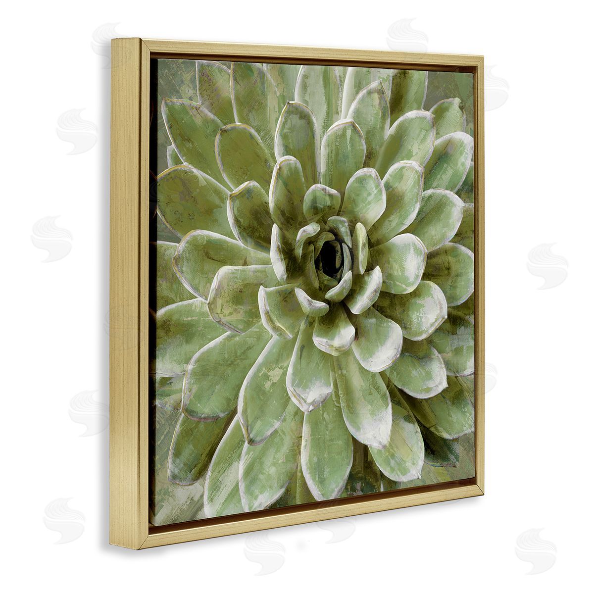 Green Botanical Succulent Bloom Gold Floating Frame Canvas Wall Art, Home Decor by Stupell Studio
