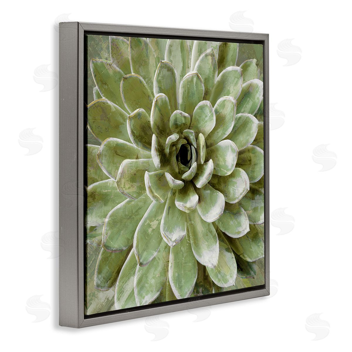 Green Botanical Succulent Bloom Grey Floating Frame Canvas Wall Art, Home Decor by Stupell Studio
