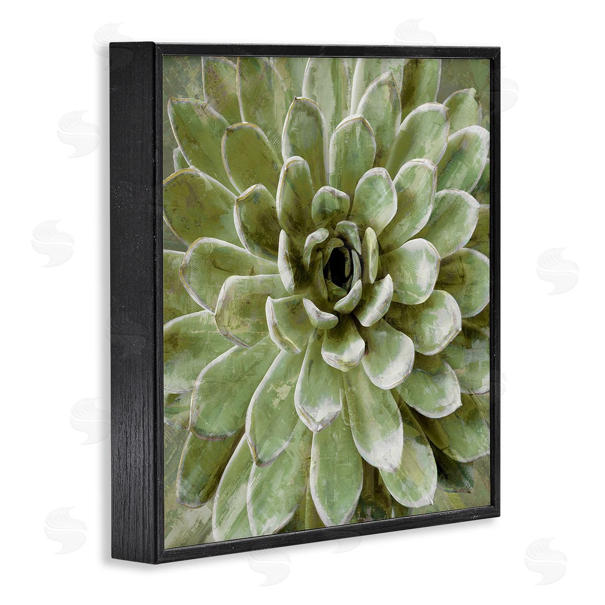 Green Botanical Succulent Bloom Black Frame Print Wall Art, Home Decor by Stupell Studio
