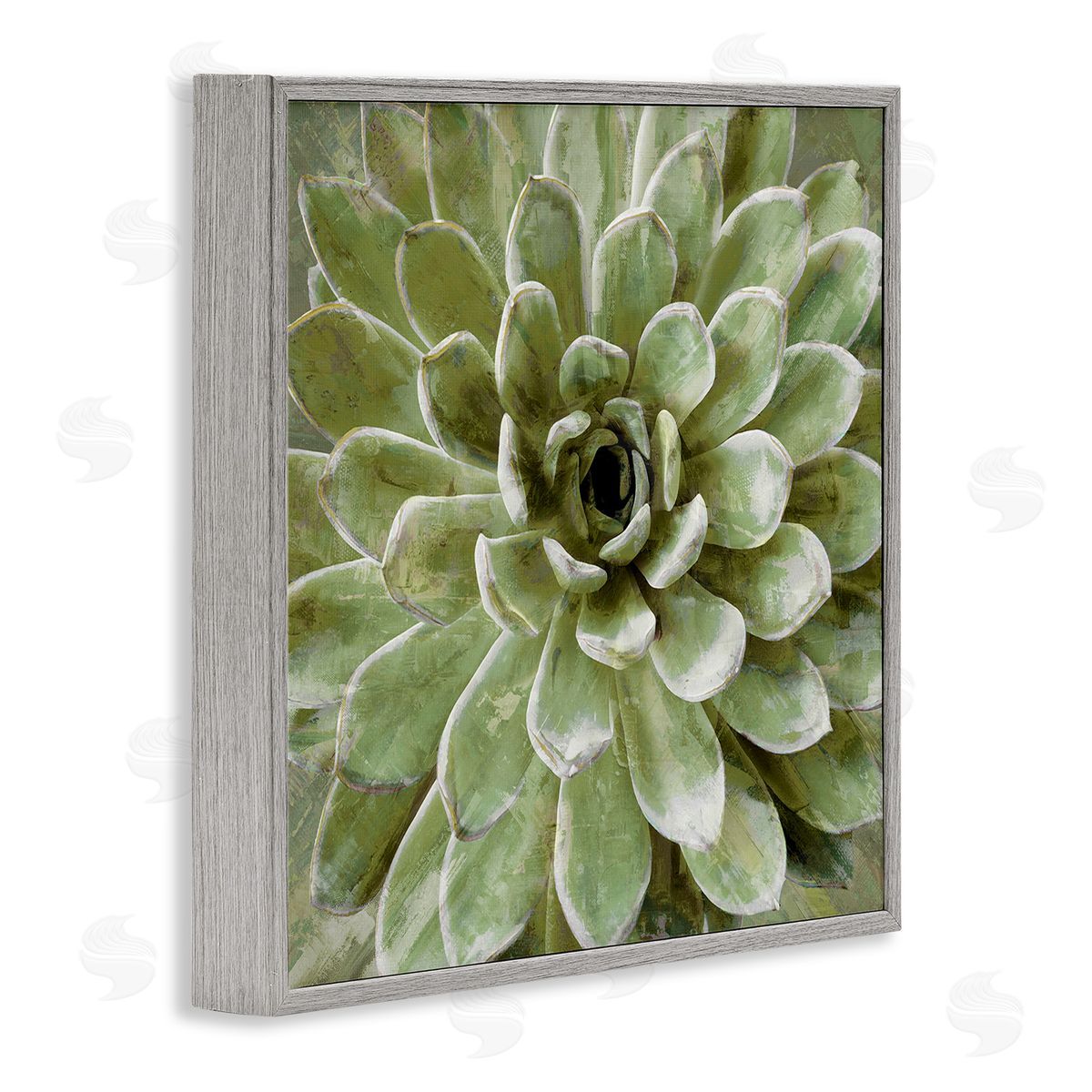 Green Botanical Succulent Bloom Grey Frame Print Wall Art, Home Decor by Stupell Studio