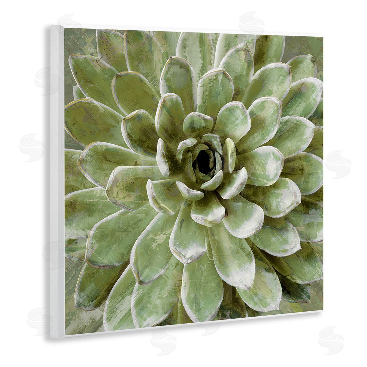Green Botanical Succulent Bloom Wood Plaque Wall Art, Home Decor by Stupell Studio