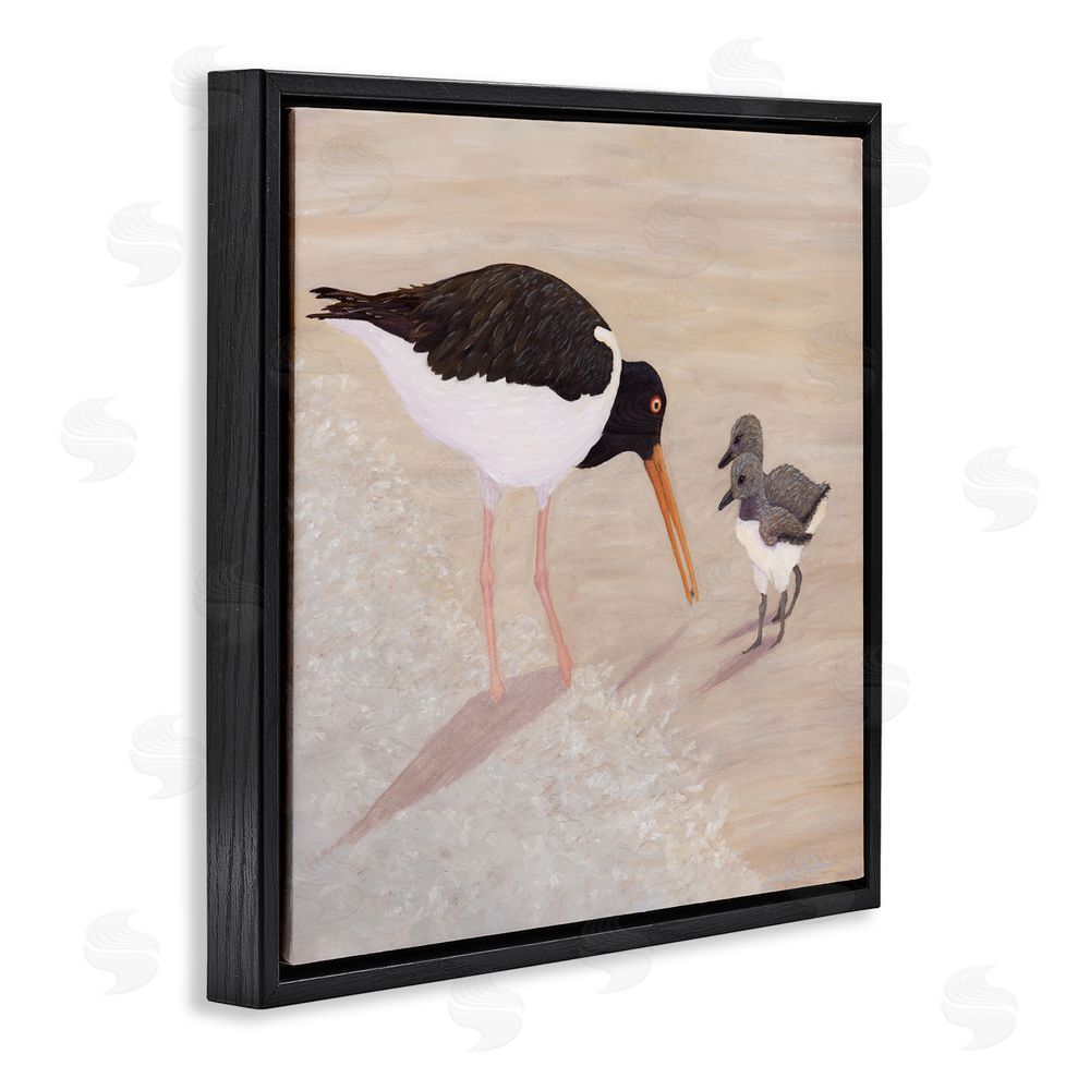 Barbara Fallenbaum American Oyster Catcher & Chicks Black Floating Frame Canvas Wall Art Print