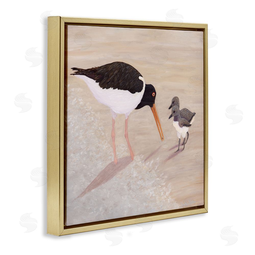 Barbara Fallenbaum American Oyster Catcher & Chicks Gold Floating Frame Canvas Wall Art Print