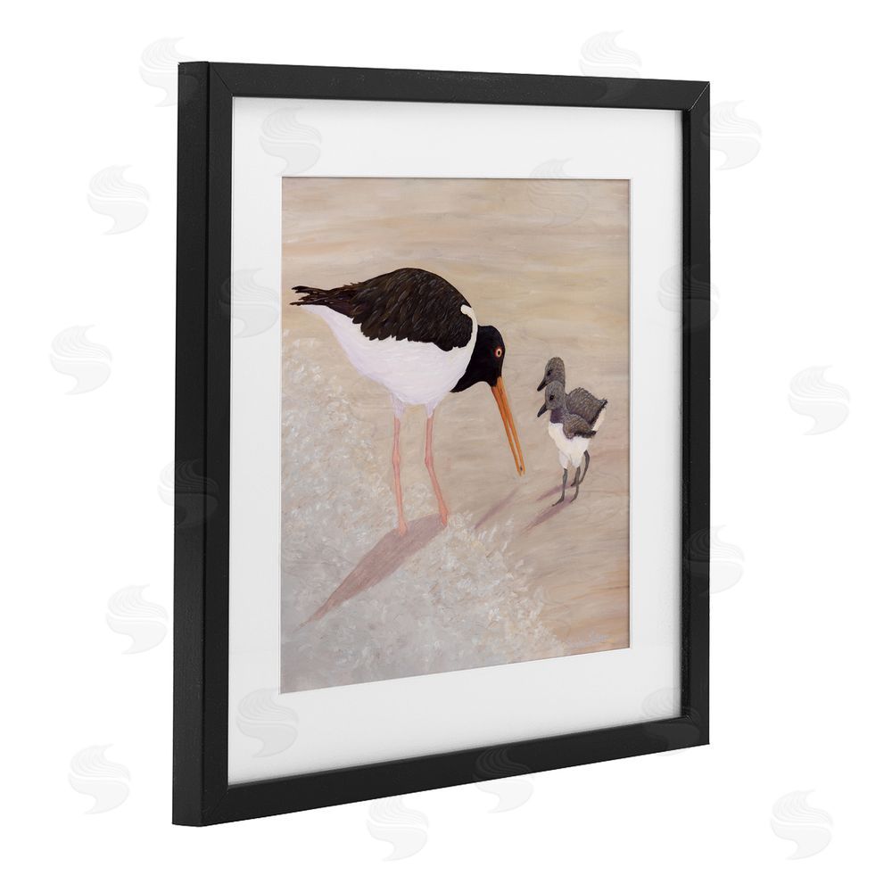 Barbara Fallenbaum American Oyster Catcher & Chicks Black Framed Print Under Glass Wall Art