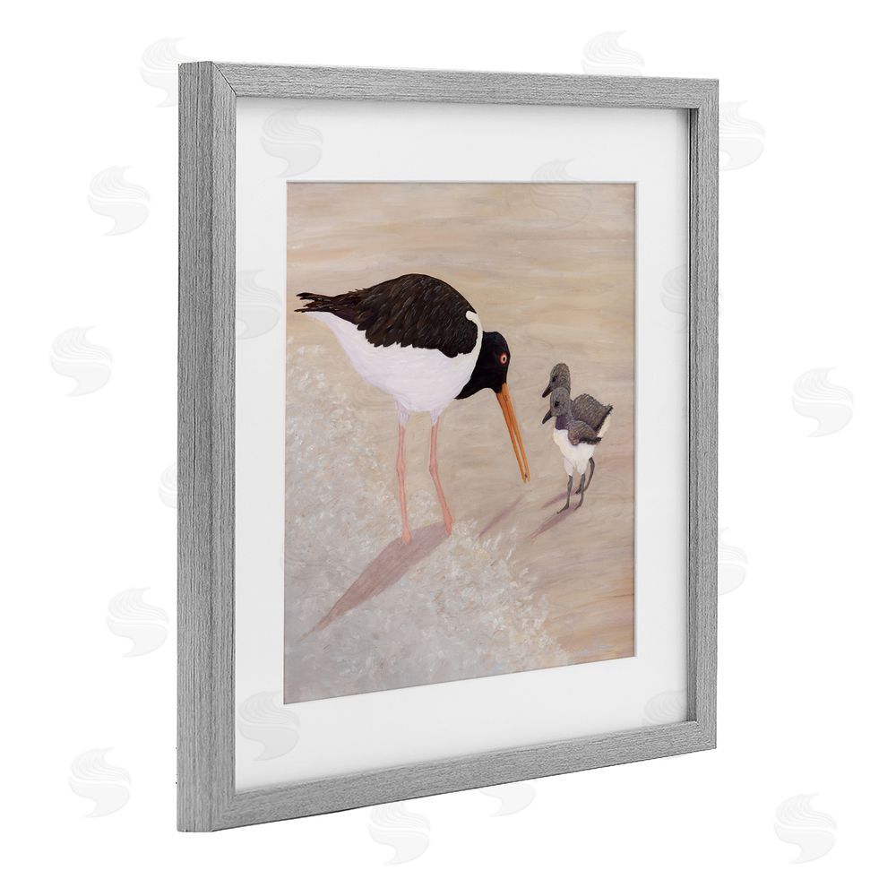 Barbara Fallenbaum American Oyster Catcher & Chicks Gray Framed Print Under Glass Wall Art