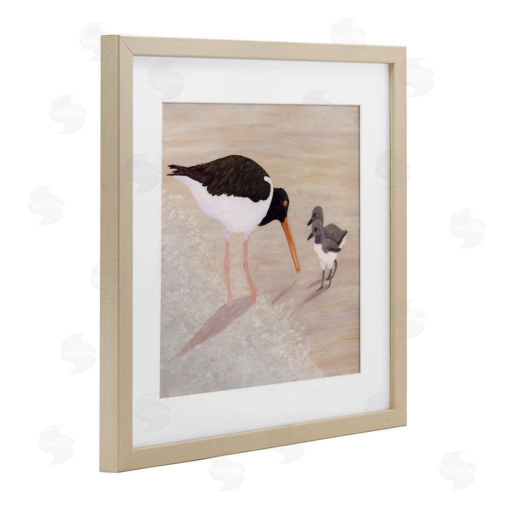 Barbara Fallenbaum American Oyster Catcher & Chicks Birch Framed Print Under Glass Wall Art