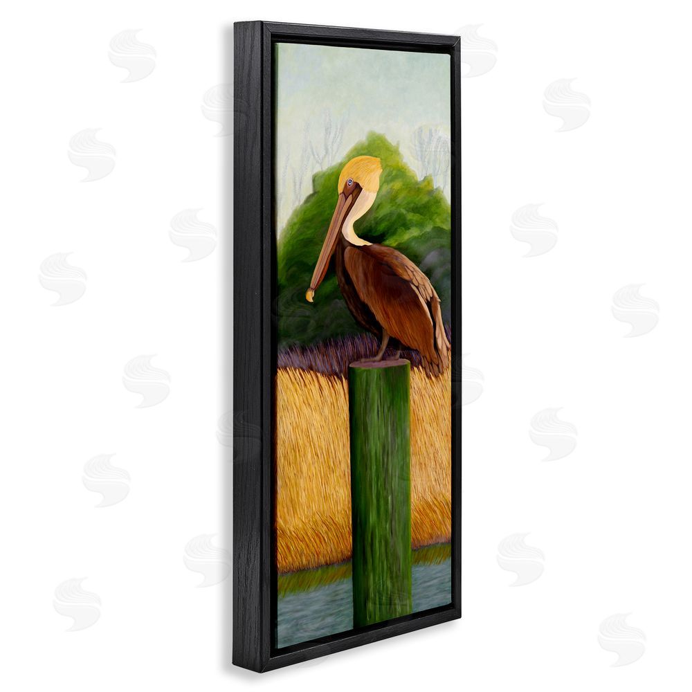 Barbara Fallenbaum Perched Blue Eyed Pelican Black Floating Frame Canvas Wall Art Print