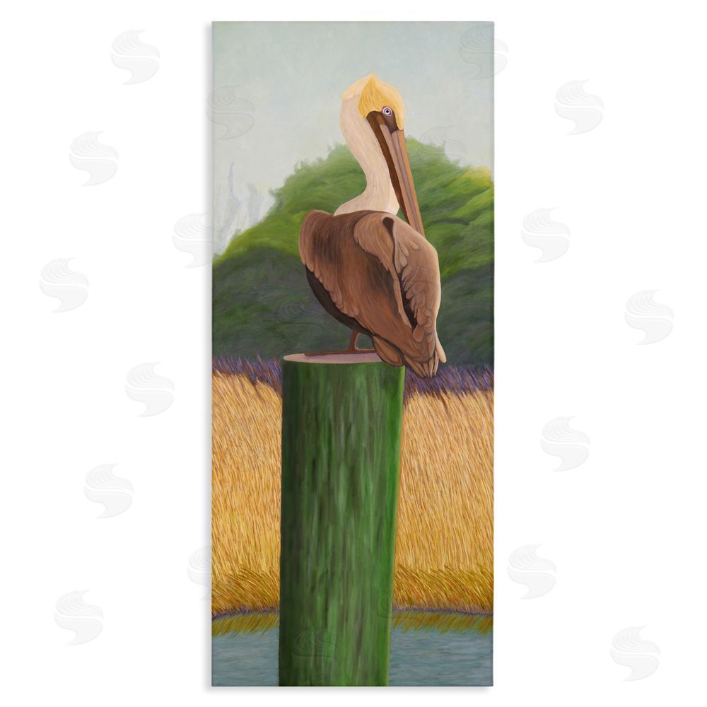 Barbara Fallenbaum Pelican with Blue Eyes Stretched Canvas Wall Art Print