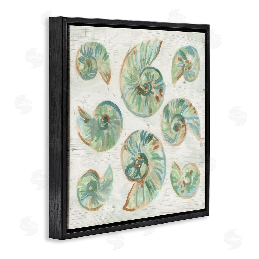 June Erica Vess Organic Saltwashed Shells Black Floating Frame Canvas Wall Art Print