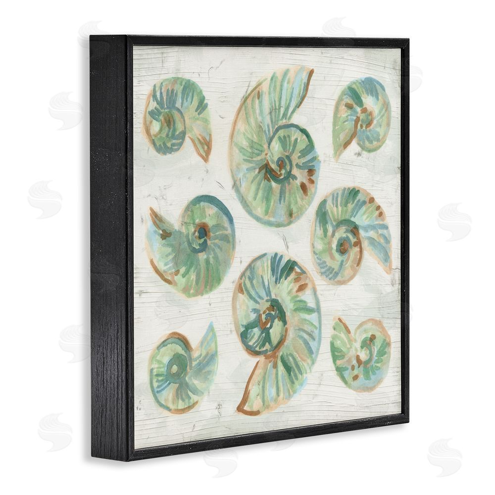 June Erica Vess Organic Saltwashed Shells Black Framed Giclee Wall Art Print