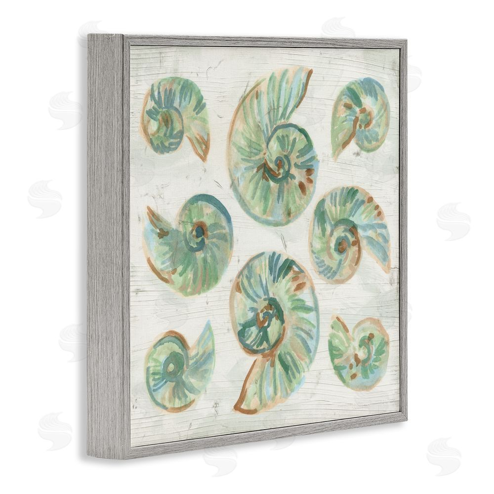 June Erica Vess Organic Saltwashed Shells Gray Framed Giclee Wall Art Print