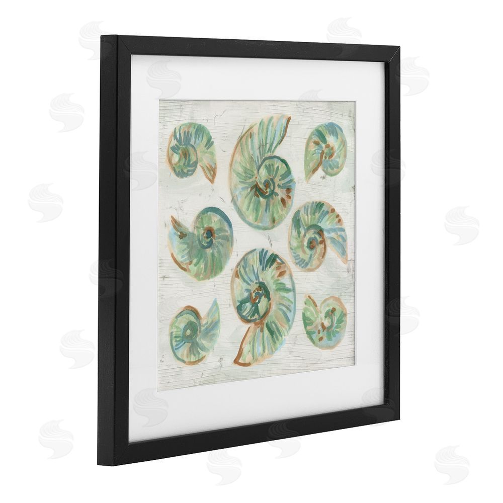 June Erica Vess Organic Saltwashed Shells Black Framed Print Under Glass Wall Art